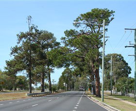 Anzac Memorial Avenue, Redcliffe - Kempsey Accommodation 2