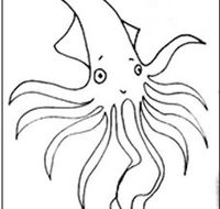 Squid Studio - Kempsey Accommodation