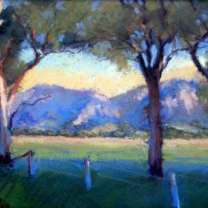 Galleries In The Gardens - Kempsey Accommodation 4