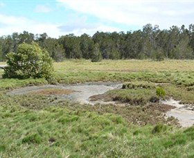 Boondall Wetlands Reserve - Kempsey Accommodation 1