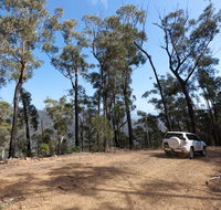 Wadbilliga Road drive - Kempsey Accommodation