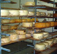Harvey Cheese - Kempsey Accommodation