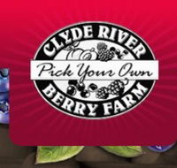 Clyde River Berry Farm - Kempsey Accommodation