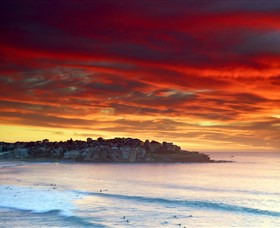 Aquabumps - Kempsey Accommodation 8