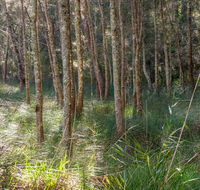 Anabranch loop track - Kempsey Accommodation
