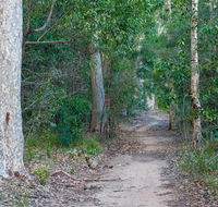 Delta track - Kempsey Accommodation