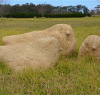 Unreal Rocks Statue Gallery - Kempsey Accommodation