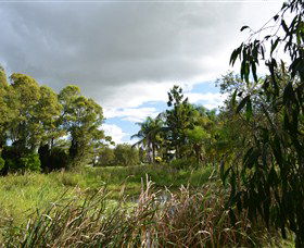 Jabiru Geenbeebeinga Wetlands - Kempsey Accommodation 2