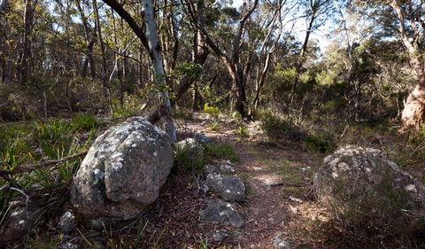 Wadbilliga National Park - Kempsey Accommodation 2