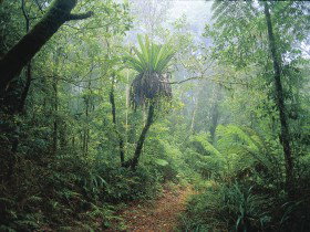 Wagawn - Kempsey Accommodation 0