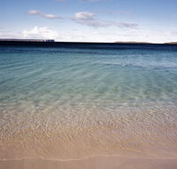 Hyams Beach trail - Kempsey Accommodation