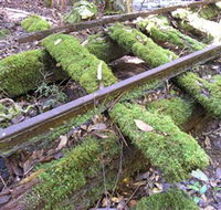 Wootton Historical Railway Walk - Kempsey Accommodation