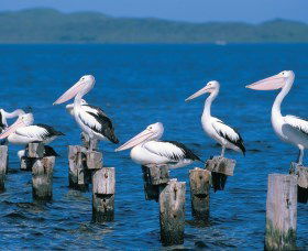 Walpole-Nornalup Inlets - Kempsey Accommodation 1