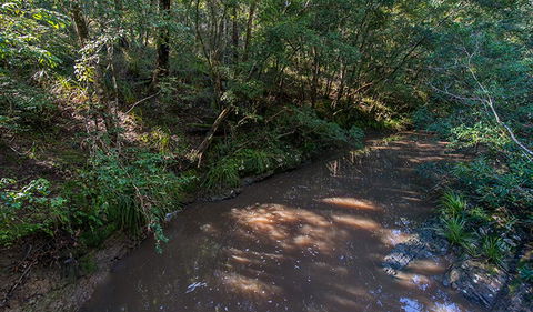 Ms Kellys Walking Track - Kempsey Accommodation 2
