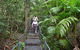 Falls Walking Track - thumb 2