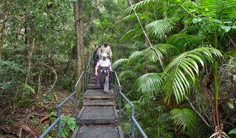 Falls Walking Track - Kempsey Accommodation 2
