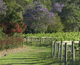 Cassegrain Wines - Kempsey Accommodation 1