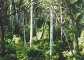 Lind National Park - Kempsey Accommodation 0