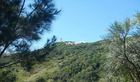 Jack Perkins Walking Track - Kempsey Accommodation 3