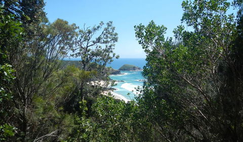 Jack Perkins Walking Track - Kempsey Accommodation 1