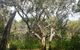 Kinchela Trig Lookout Walk - thumb 2