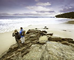 Wilderness Coast Walk - Kempsey Accommodation 0
