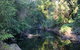 Nadgee Nature Reserve - thumb 2