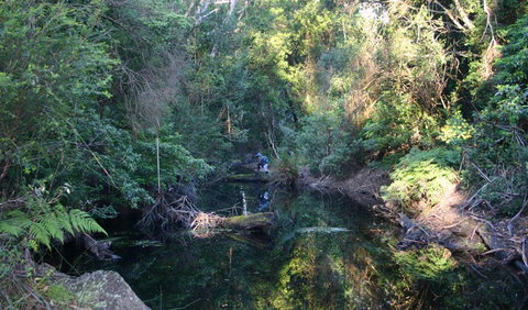 Nadgee Nature Reserve - Kempsey Accommodation 2