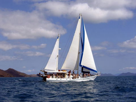 Adventure, Cruise, Dive And Outer Reef - Whitsundays Sailing Adventures - Kempsey Accommodation 6