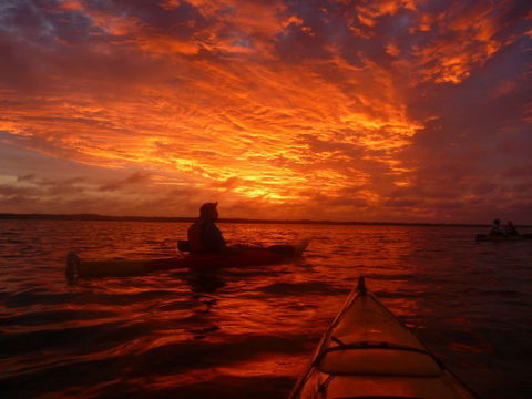 Canoe The Coorong - Kempsey Accommodation 2