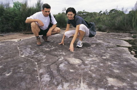 Sydney Coast Walks - Kempsey Accommodation 3