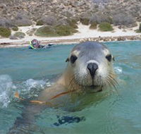 Calypso Star Charters - Kempsey Accommodation