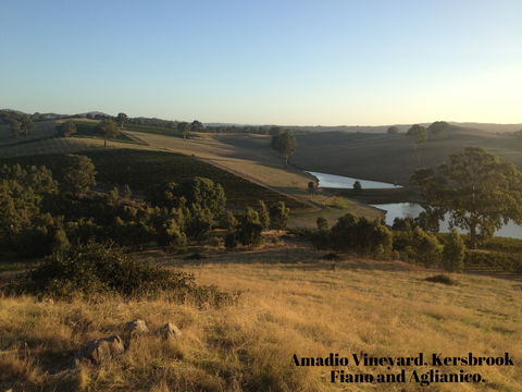 Scott & La Prova - Kempsey Accommodation 1