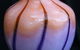 Australis Art - thumb 0