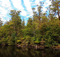 A R Reflections River Cruises - Kempsey Accommodation
