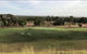 Moranbah Golf Club Inc. - thumb 2