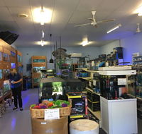 Aquamail - Kempsey Accommodation