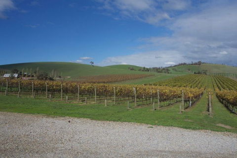 Wine Compass - Kempsey Accommodation 1