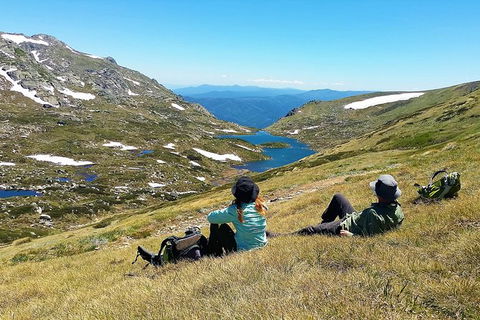Multi-Day Snowy Mountains And Sapphire Coast From Canberra - Kempsey Accommodation 1