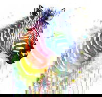 Rainbow Zebra - 65 Northbourne 7.30-9.30pm - Kempsey Accommodation