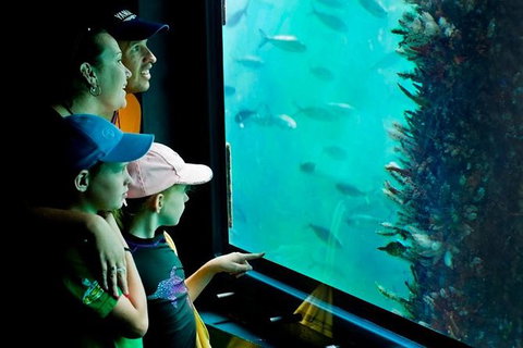 2-hour Busselton Jetty Package: Jetty Train And Underwater Observatory - Kempsey Accommodation 1