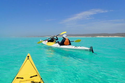 Lagoon Explorer - Ningaloo Reef Full-Day Kayaking And Snorkeling Adventure - Kempsey Accommodation 7