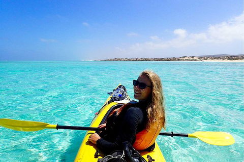 Lagoon Explorer - Ningaloo Reef Full-Day Kayaking And Snorkeling Adventure - Kempsey Accommodation 2
