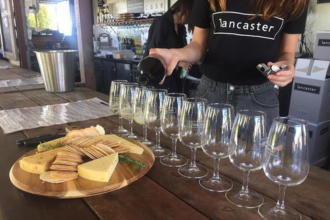 Half Day Swan Valley Wine Tour - Kempsey Accommodation 8