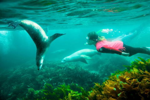 9-Day Perth To Adelaide Adventure Tour - Kempsey Accommodation 7