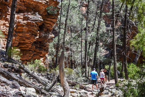 9-Day Perth To Adelaide Adventure Tour - Kempsey Accommodation 15