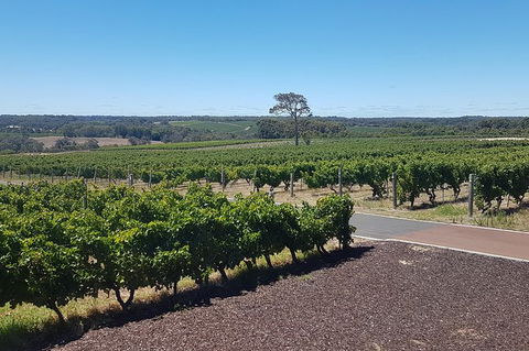 Full Day Winery And Brewery Tour In A Classic Silver Spirit Rolls Royce - Kempsey Accommodation 5
