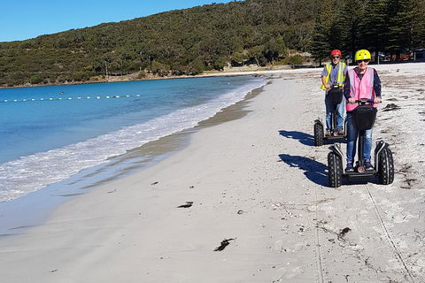 Albany Summit To Sea Adventure - Guided Segway Tour - Kempsey Accommodation 1