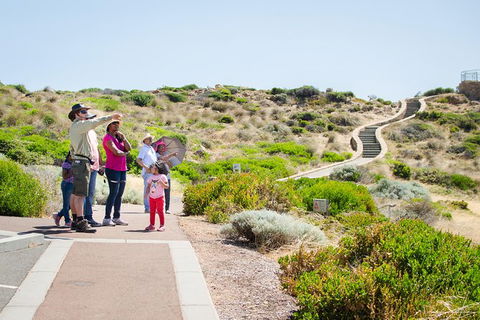 Margaret River Coastal And Wildlife Eco Trip From Busselton Or Dunsborough - Kempsey Accommodation 1