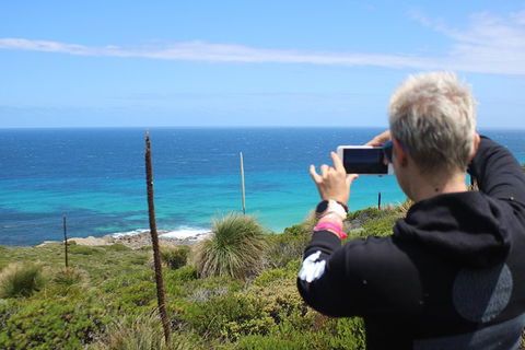 Margaret River Coastal And Wildlife Eco Trip From Busselton Or Dunsborough - Kempsey Accommodation 12